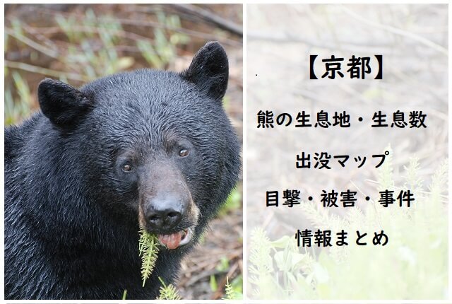 【京都府】熊(クマ)出没マップ・令和5年(2023年)