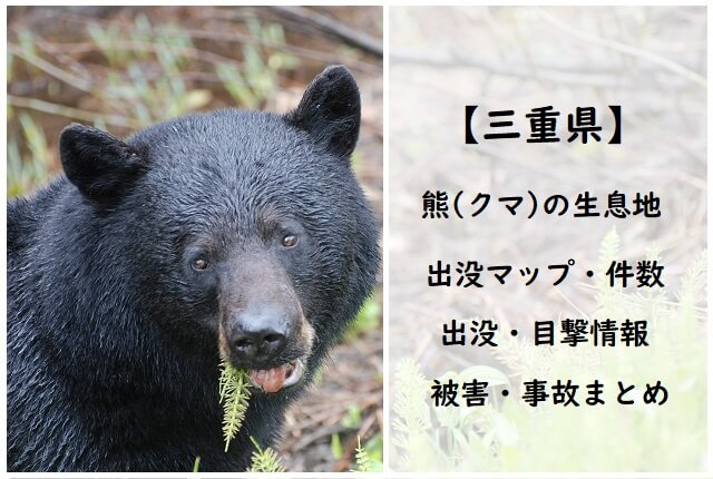【三重県】熊(クマ)生息地/出没マップ/出没情報・目撃情報・被害・事故まとめ