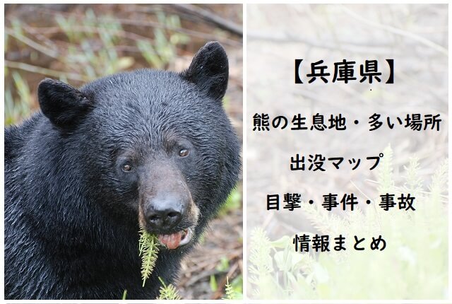 【兵庫県】熊(クマ)生息地と多い場所/出没マップ/目撃情報・事件・事故まとめ